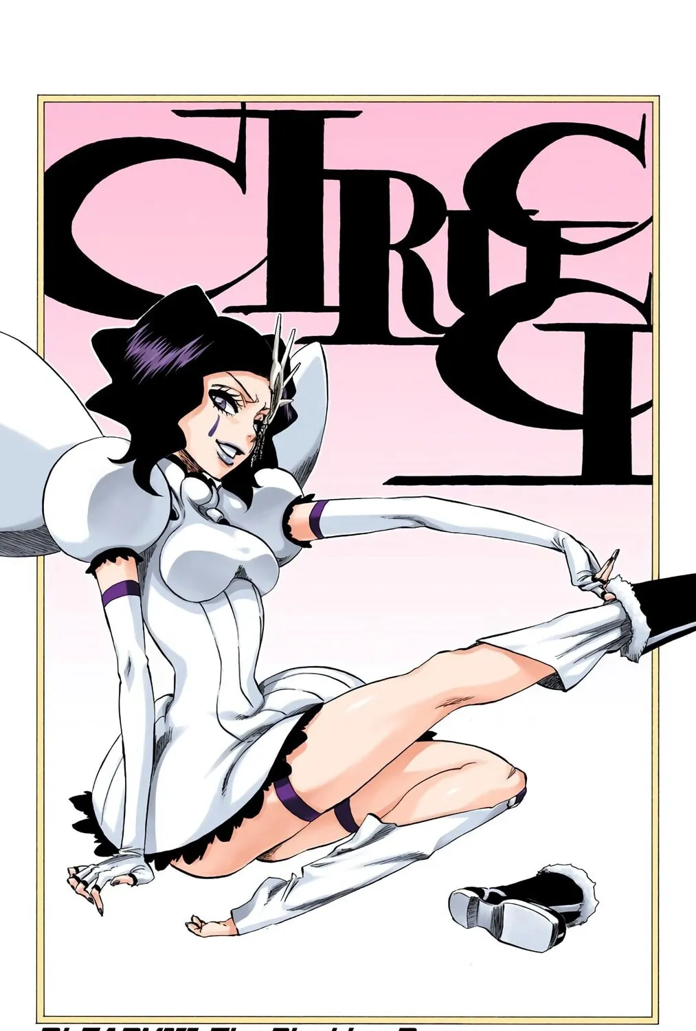 Bleach Colored Manga, chapter 257, page 5