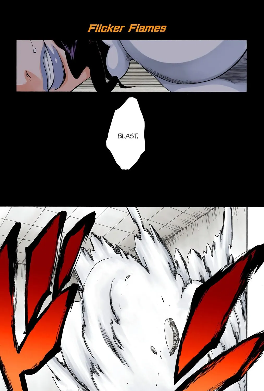 Bleach Colored Manga, chapter 259, page 13