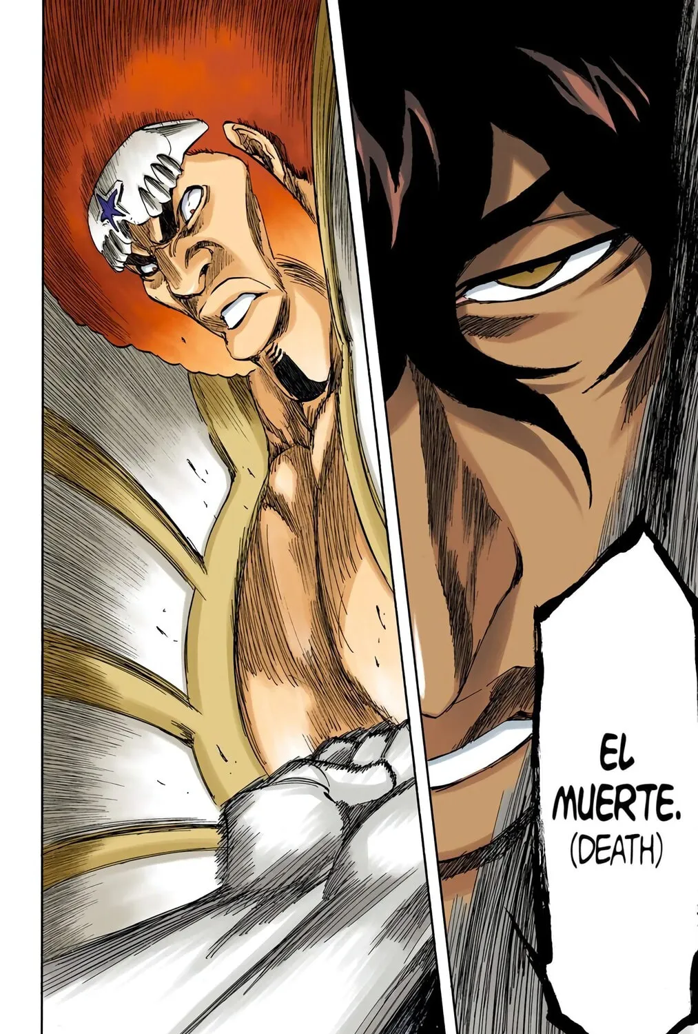 Bleach Colored Manga, chapter 261, page 19