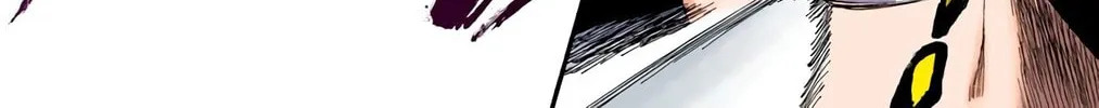 Bleach Colored Manga, chapter 263, page 36