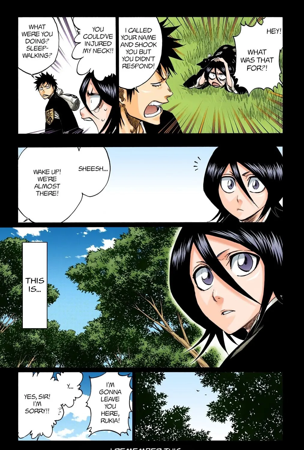 Bleach Colored Manga, chapter 268, page 5