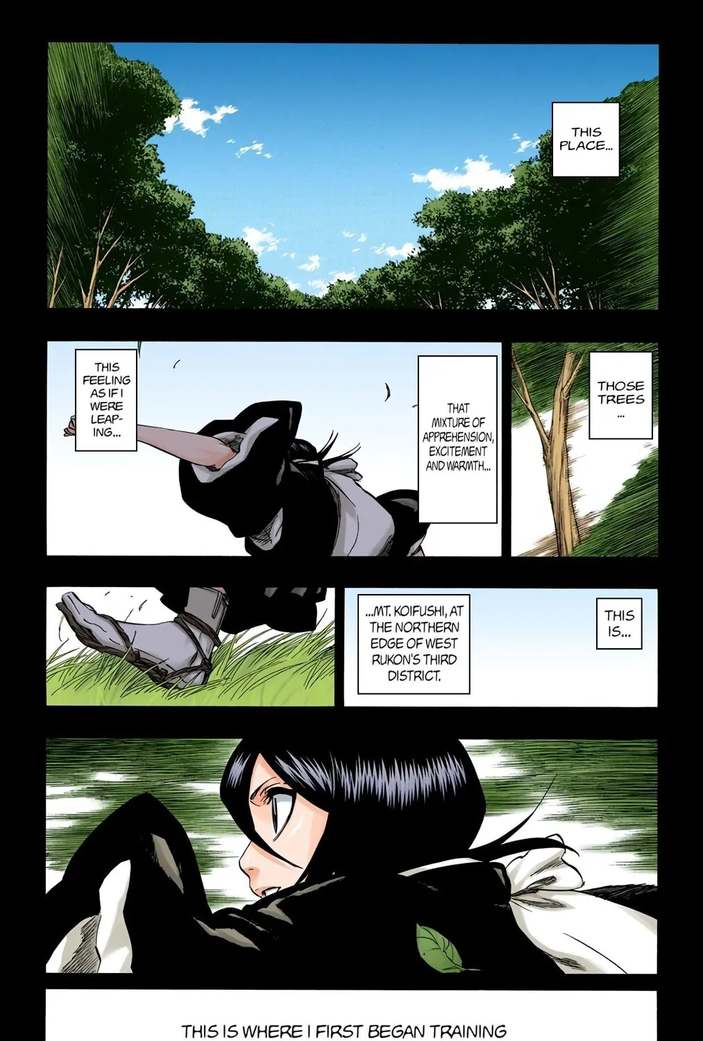 Bleach Colored Manga, chapter 268, page 7