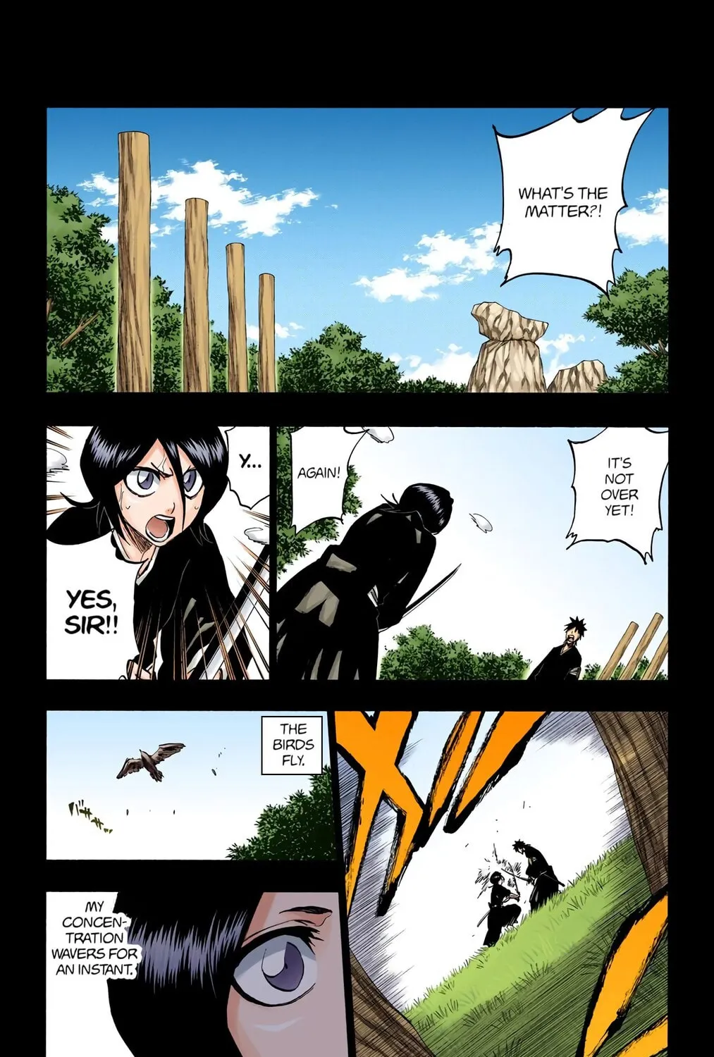 Bleach Colored Manga, chapter 268, page 11