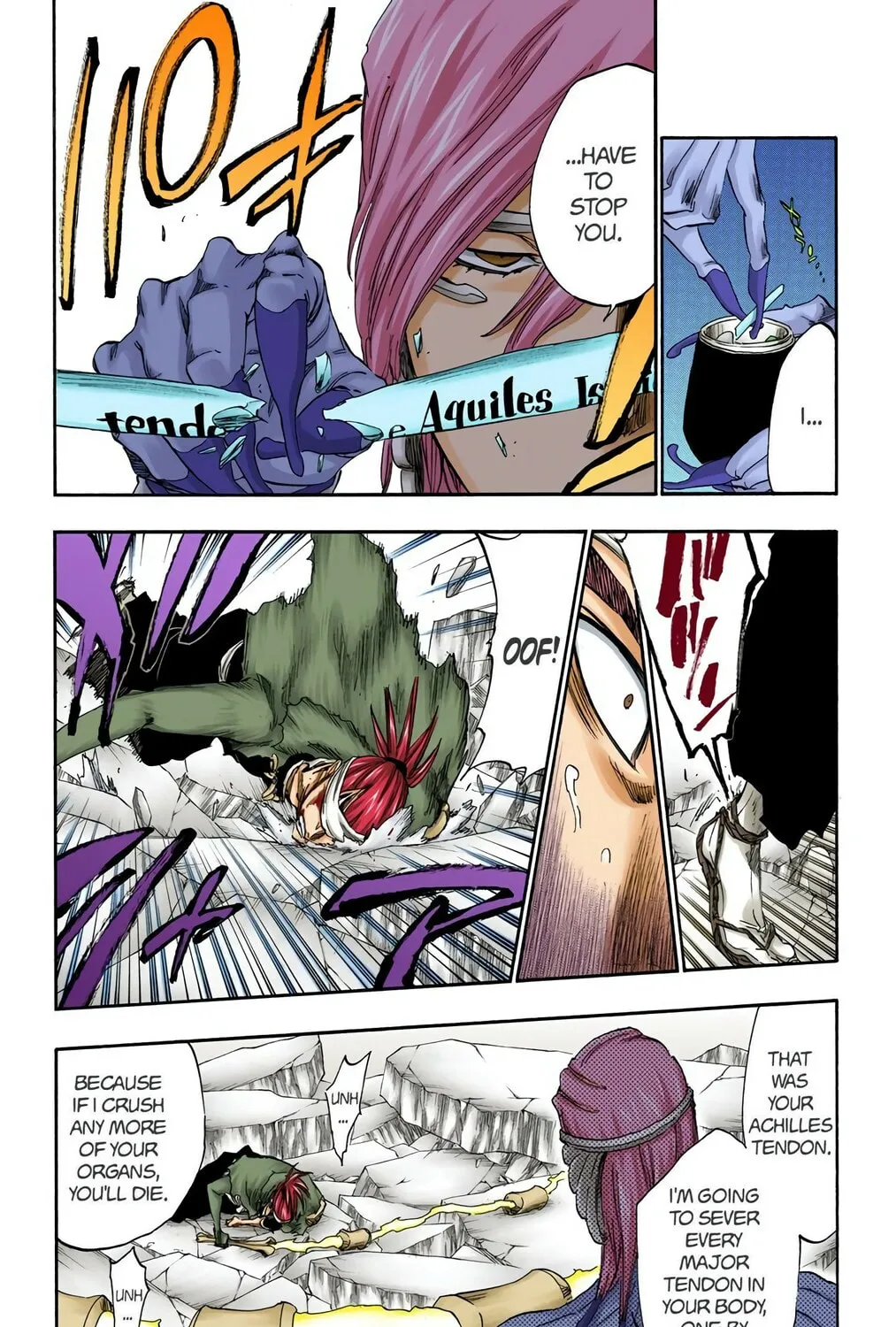 Bleach Colored Manga, chapter 295, page 17