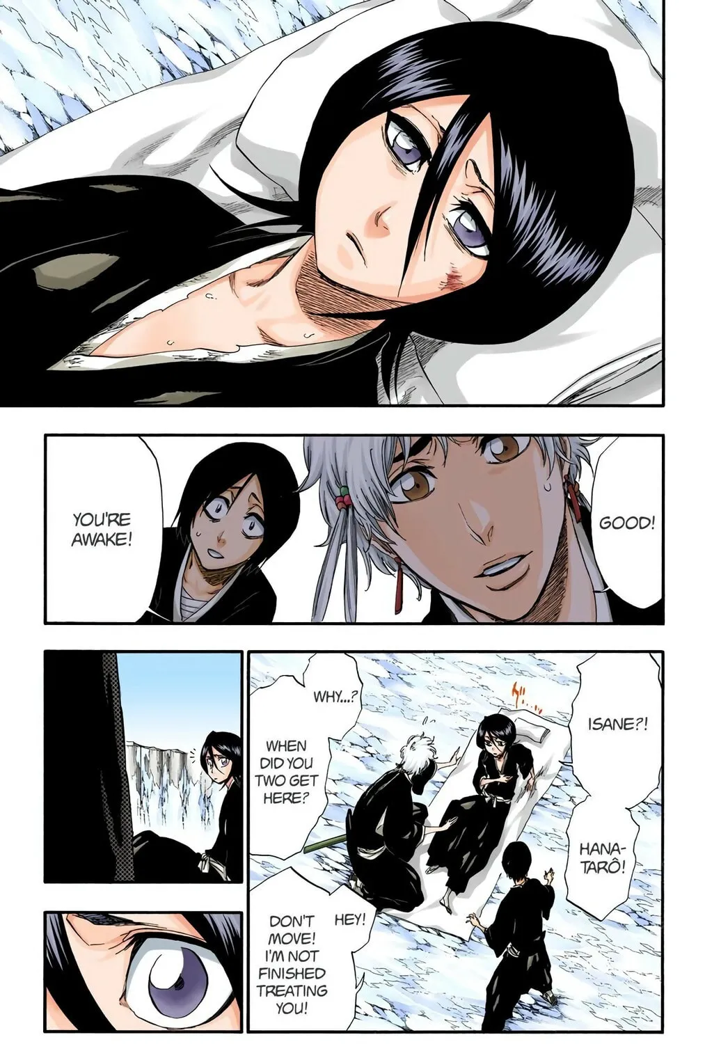 Bleach Colored Manga, chapter 304, page 5