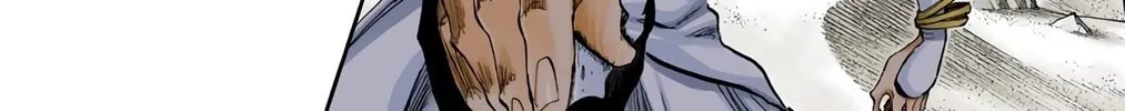 Bleach Colored Manga, chapter 308, page 36
