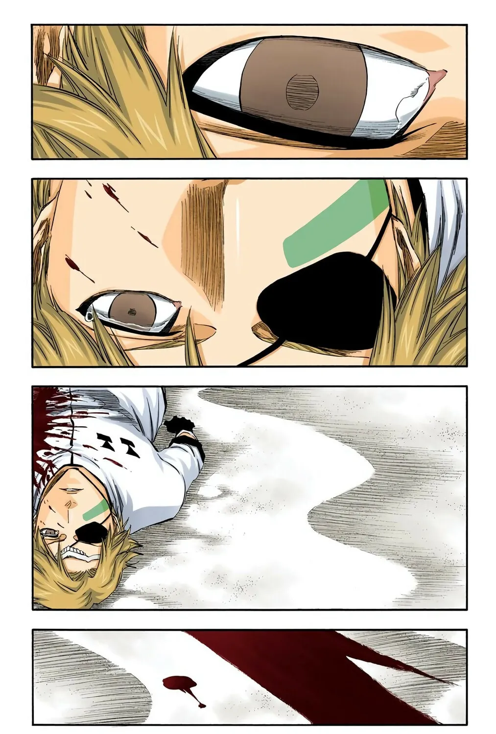 Bleach Colored Manga, chapter 313, page 13