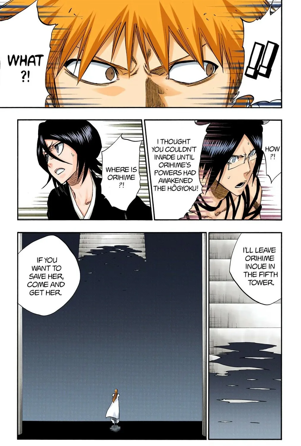 Bleach Colored Manga, chapter 314, page 13