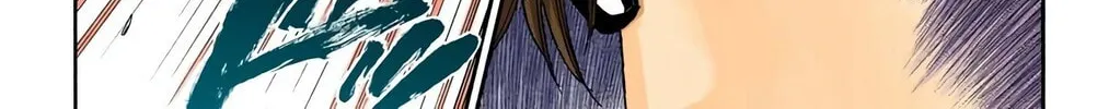 Bleach Colored Manga, chapter 315.2, page 42