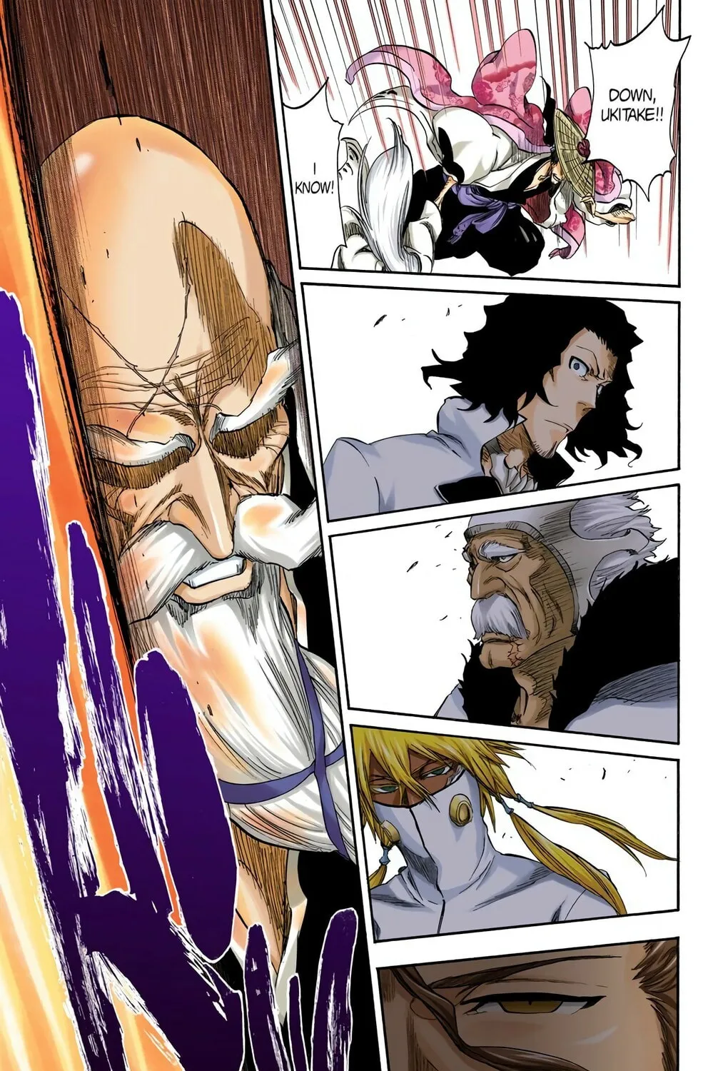 Bleach Colored Manga, chapter 316, page 19
