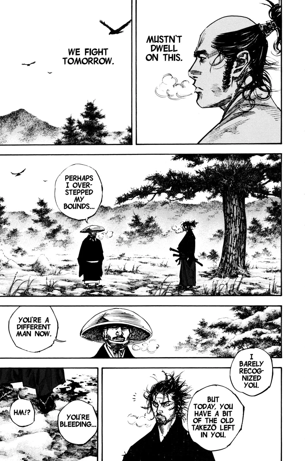 Vagabond Manga, chapter 224, page 11
