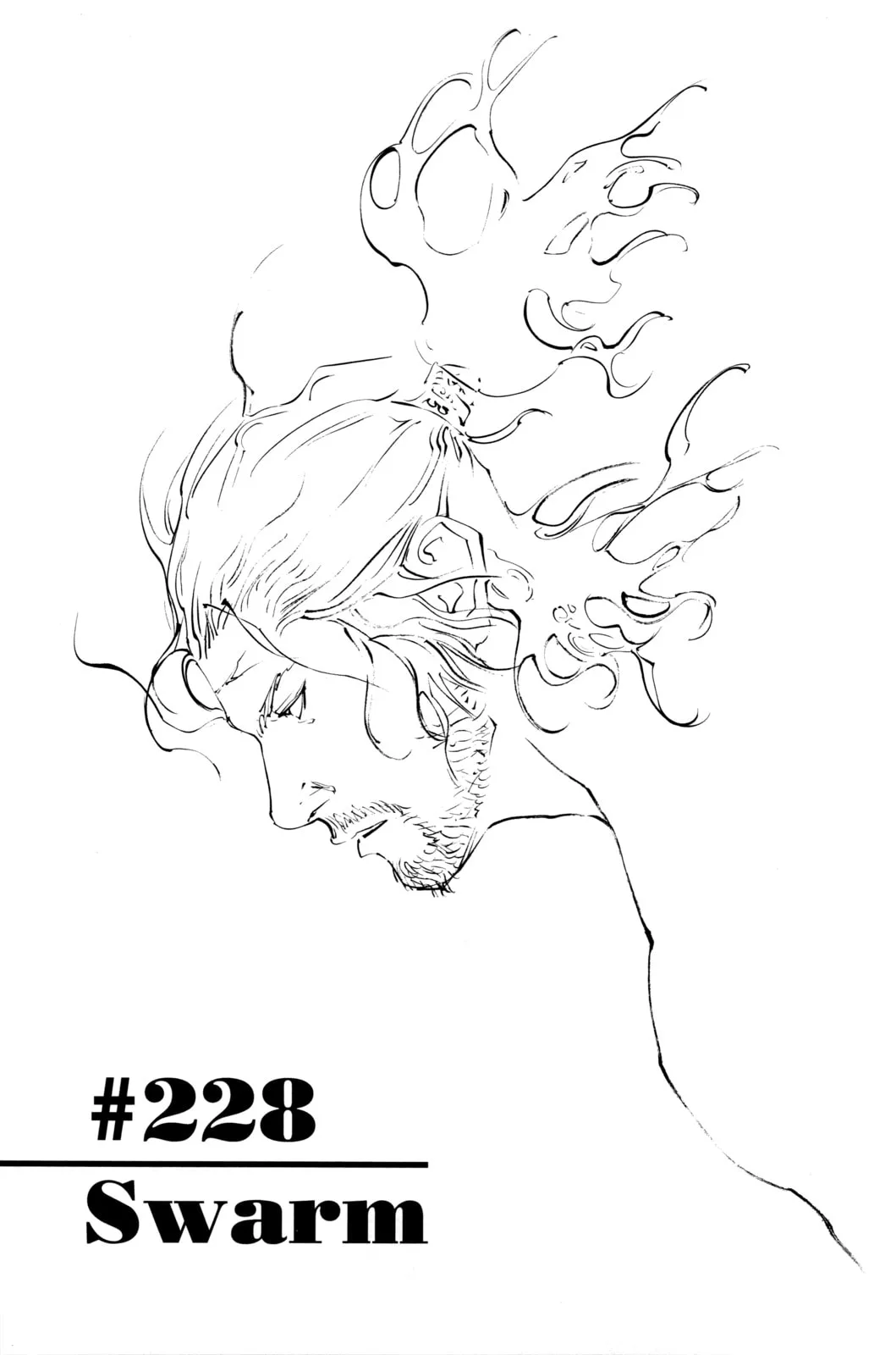 Vagabond Manga, chapter 228, page 1