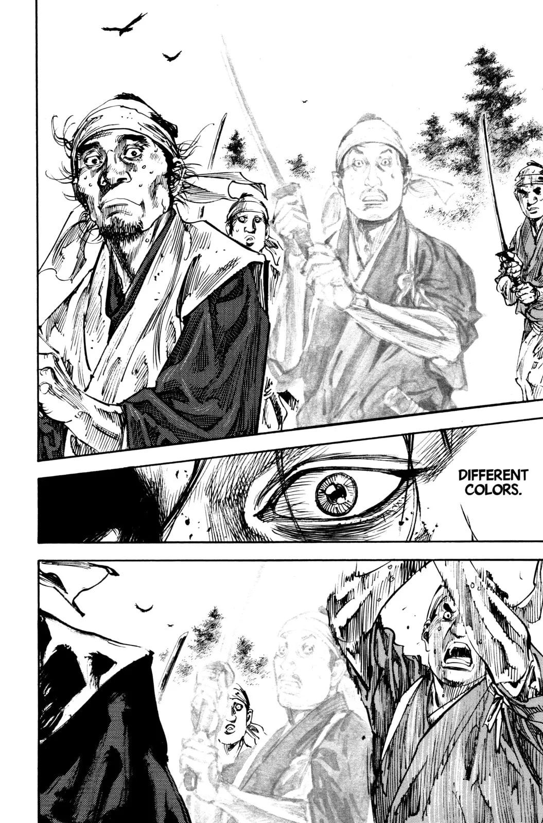Vagabond Manga, chapter 234, page 14