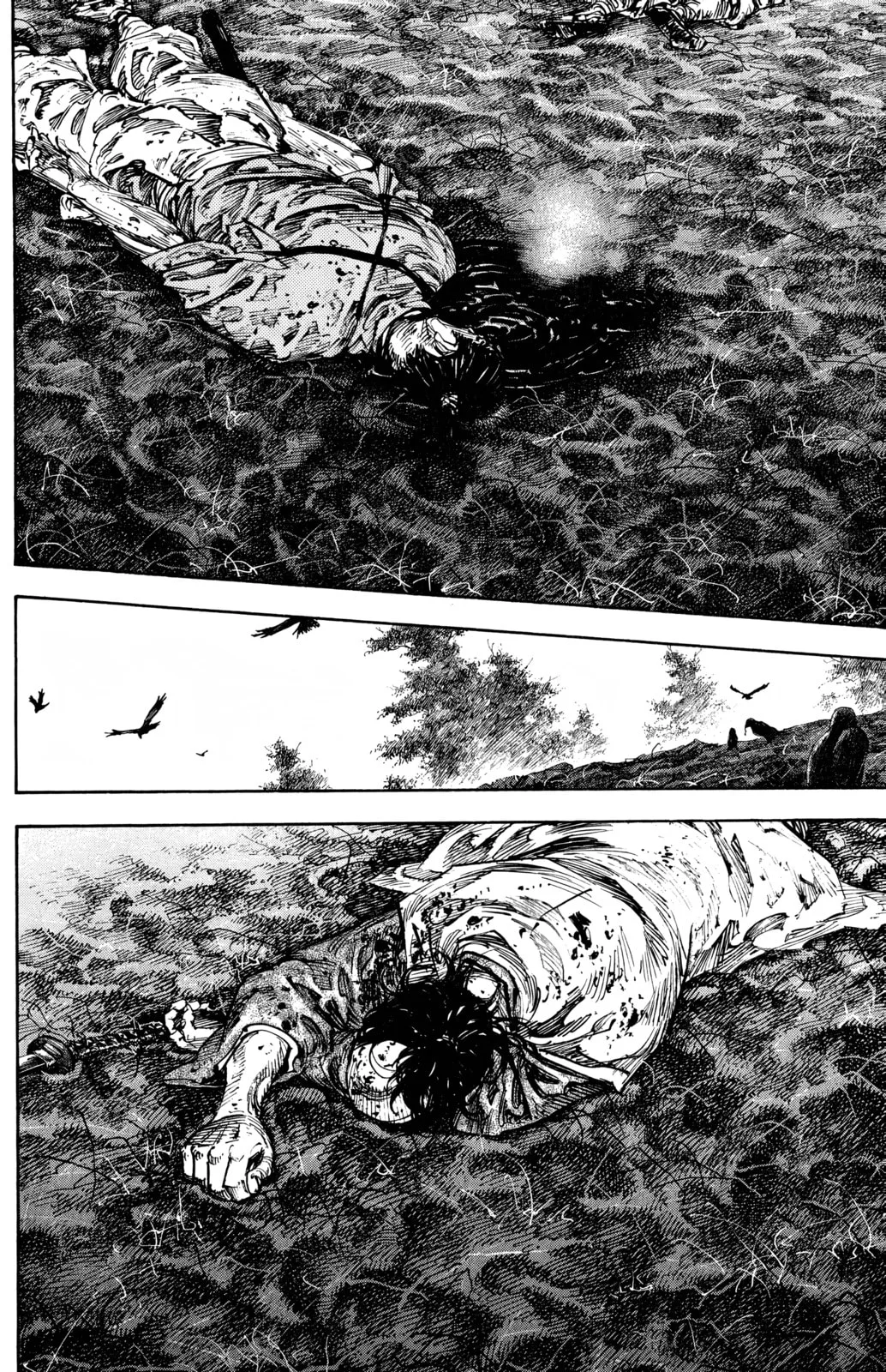 Vagabond Manga, chapter 242, page 5