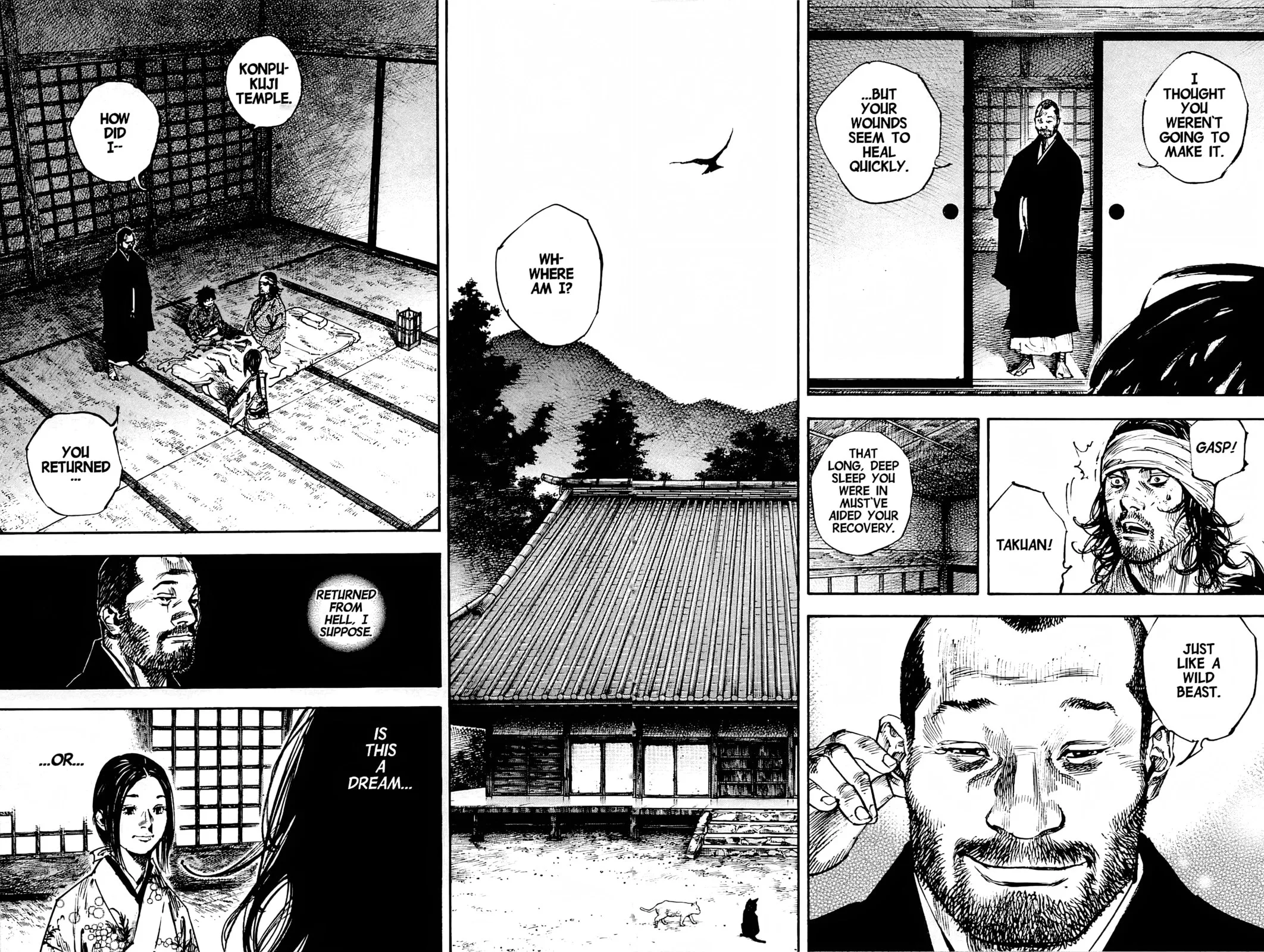 Vagabond Manga, chapter 244, page 8