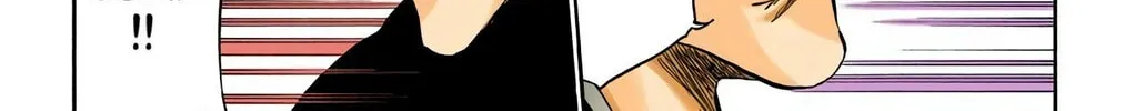 Bleach Colored Manga, chapter 328, page 24