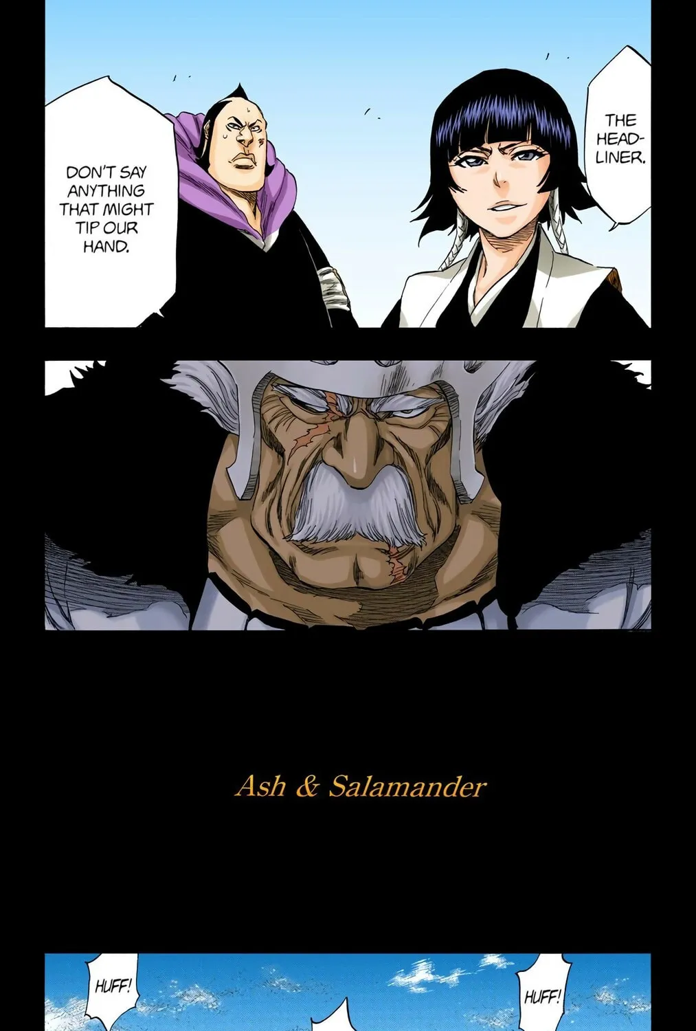 Bleach Colored Manga, chapter 333, page 25