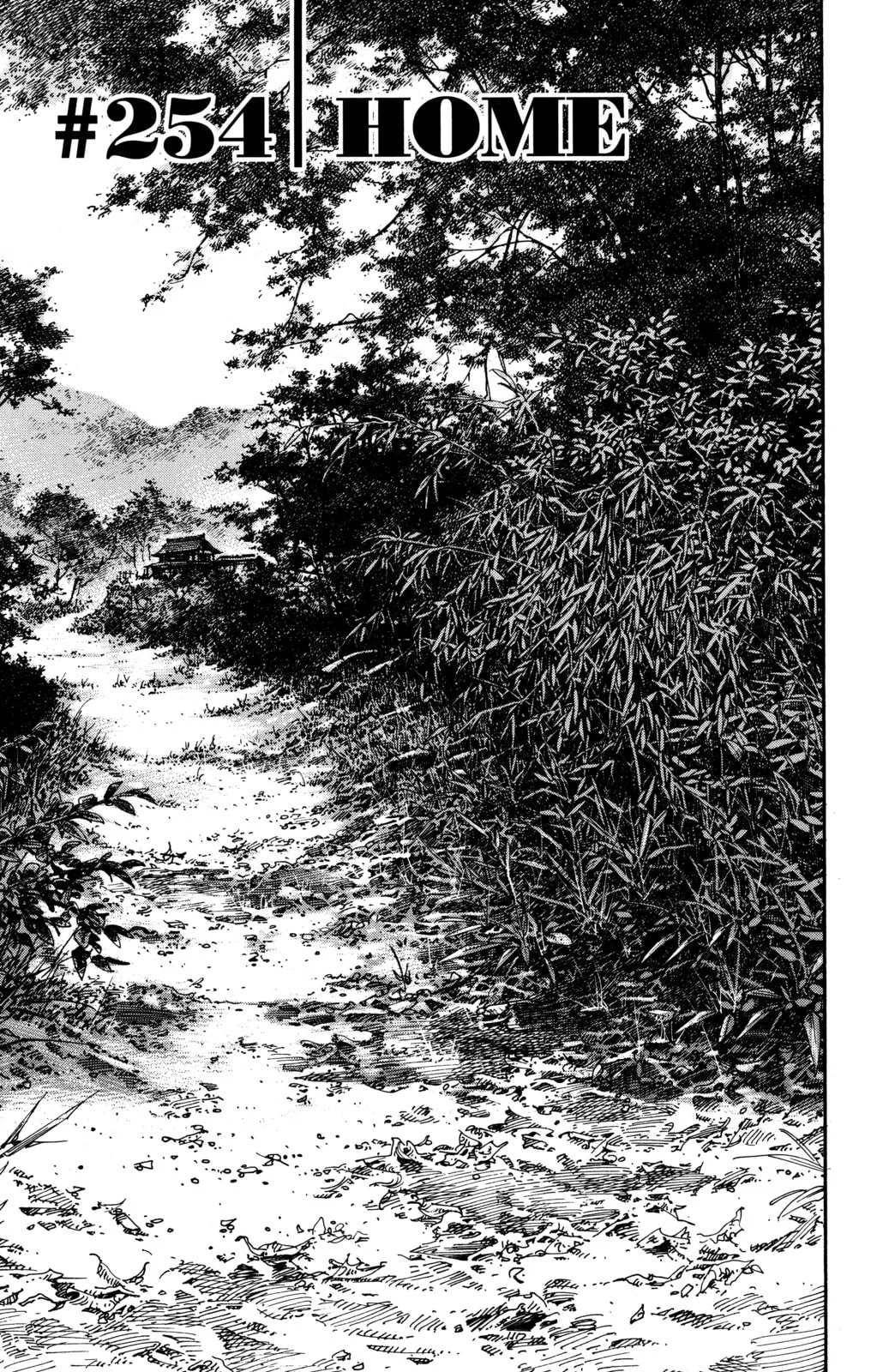 Vagabond Manga, chapter 254, page 3