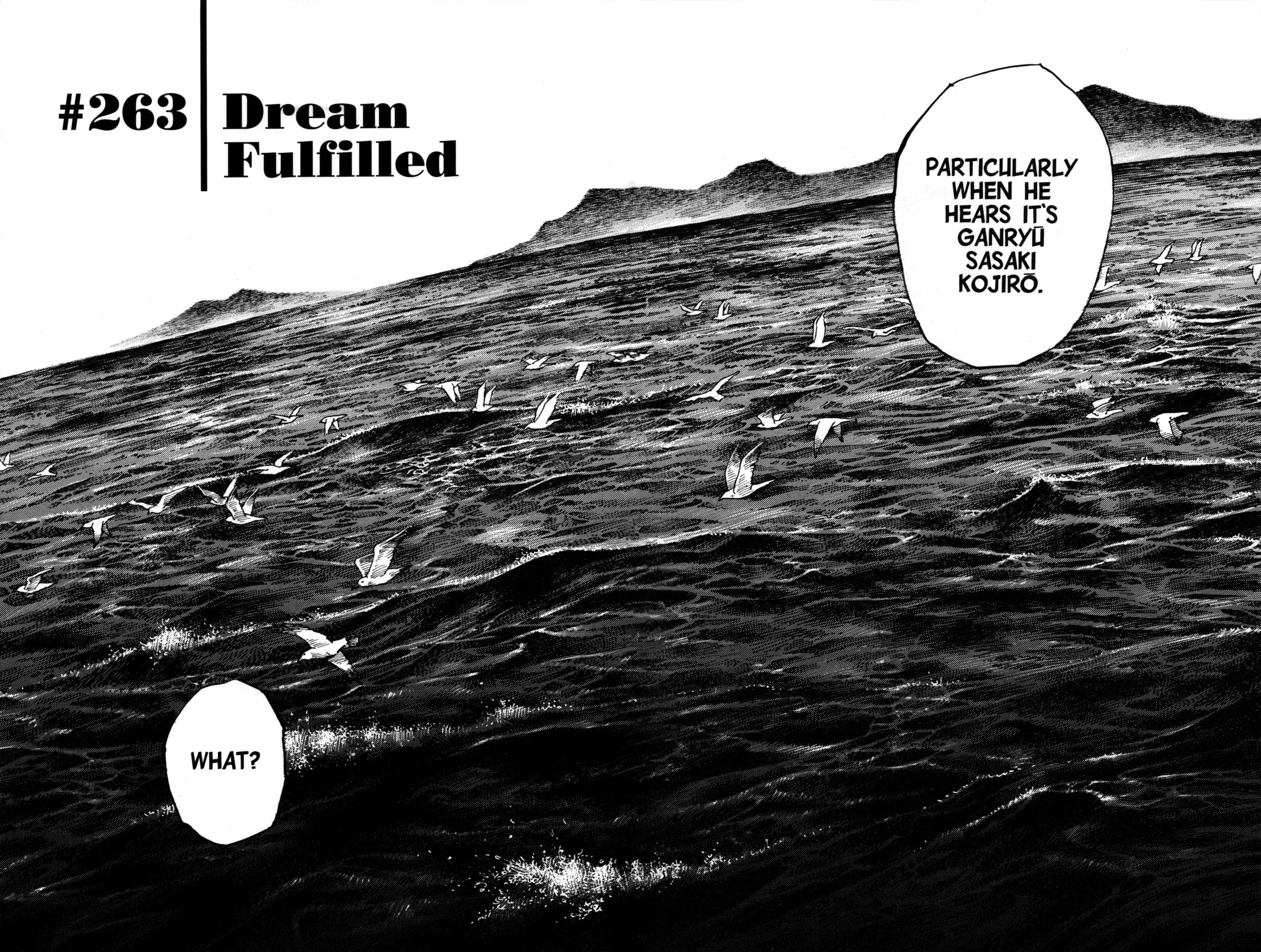 Vagabond Manga, chapter 263, page 2