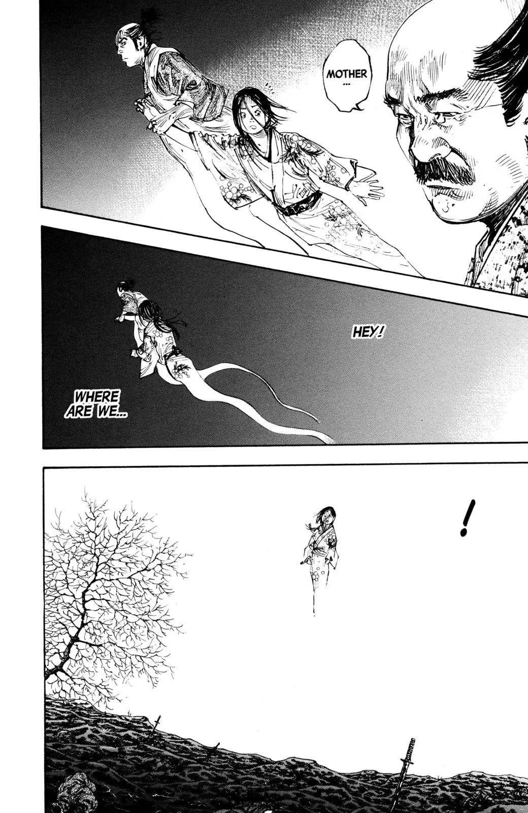 Vagabond Manga, chapter 263, page 13