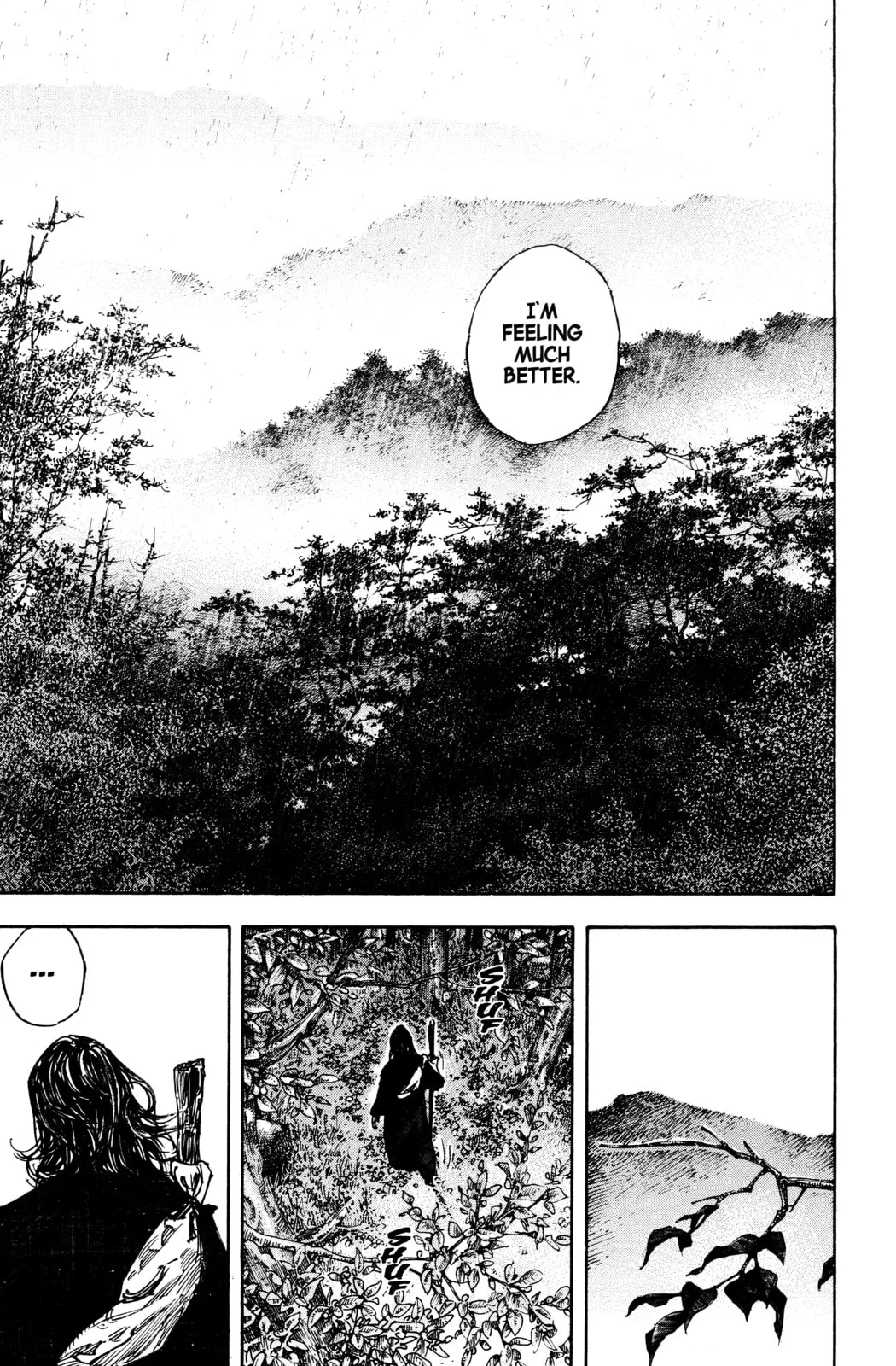 Vagabond Manga, chapter 270, page 13