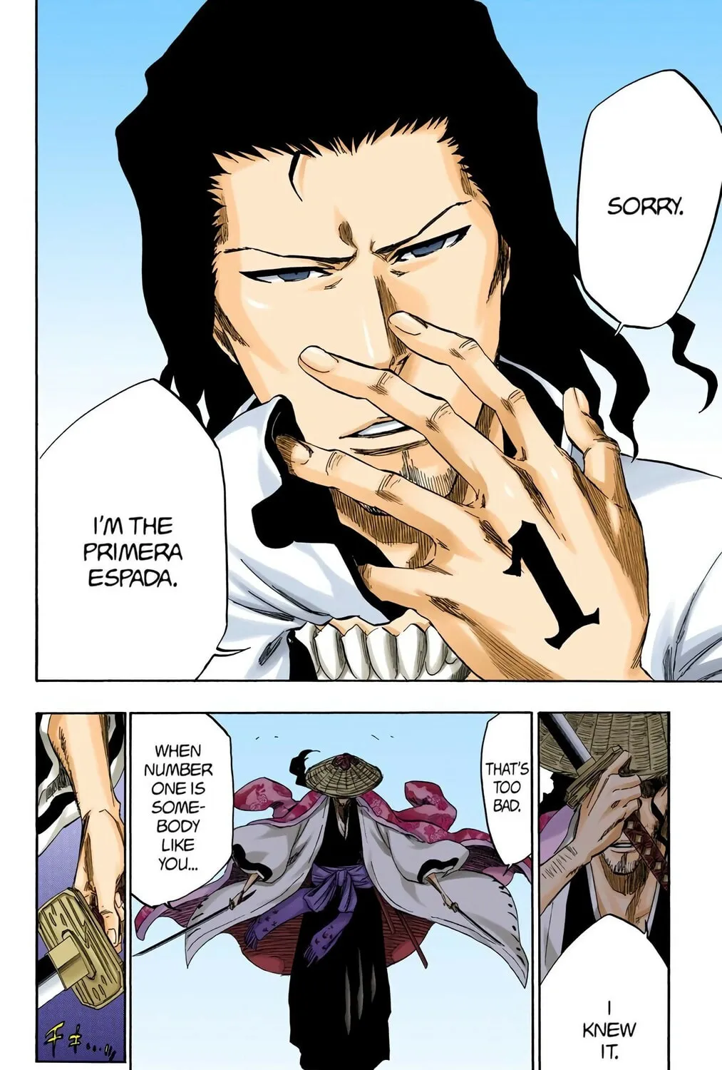 Bleach Colored Manga, chapter 339, page 29