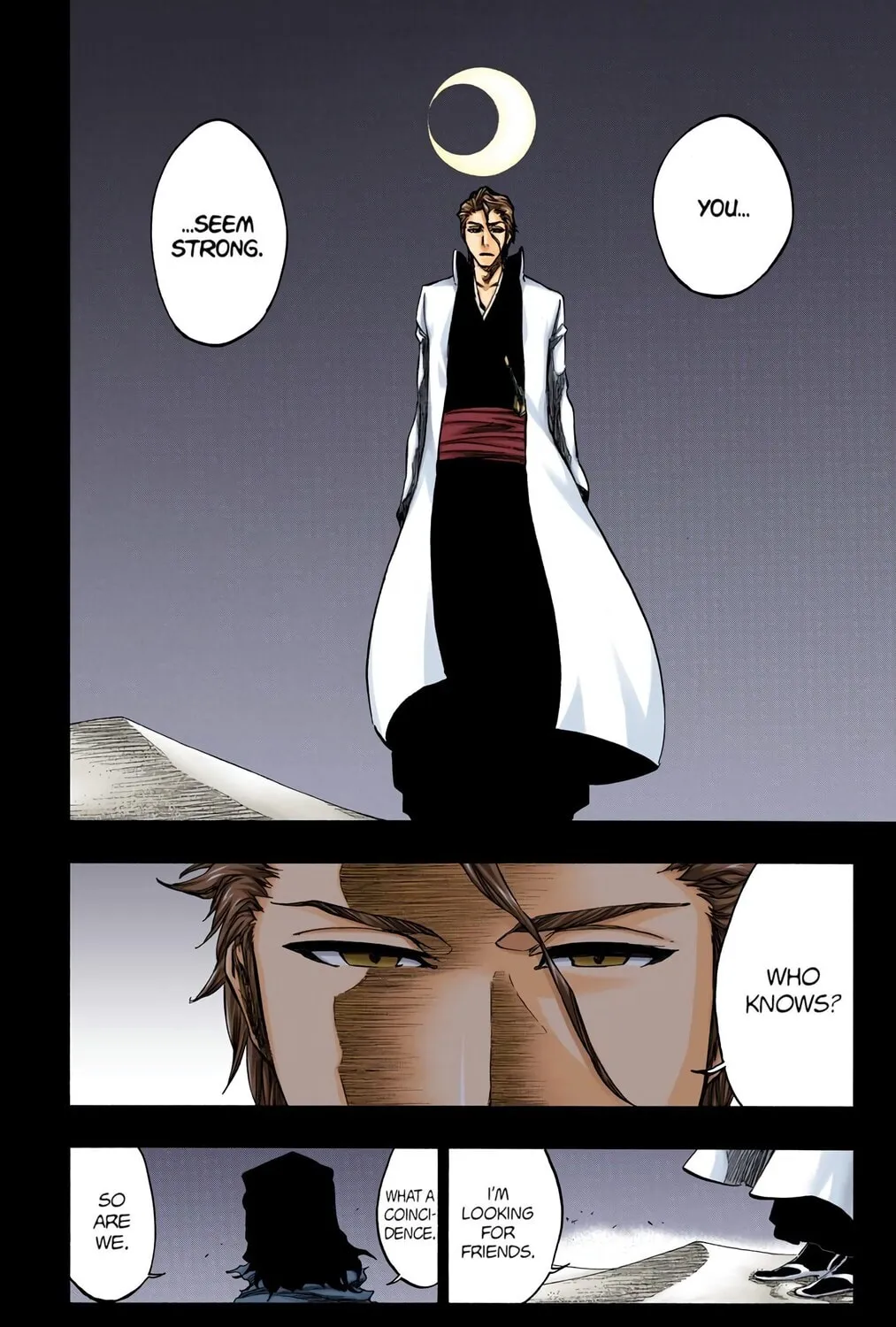 Bleach Colored Manga, chapter 375, page 3