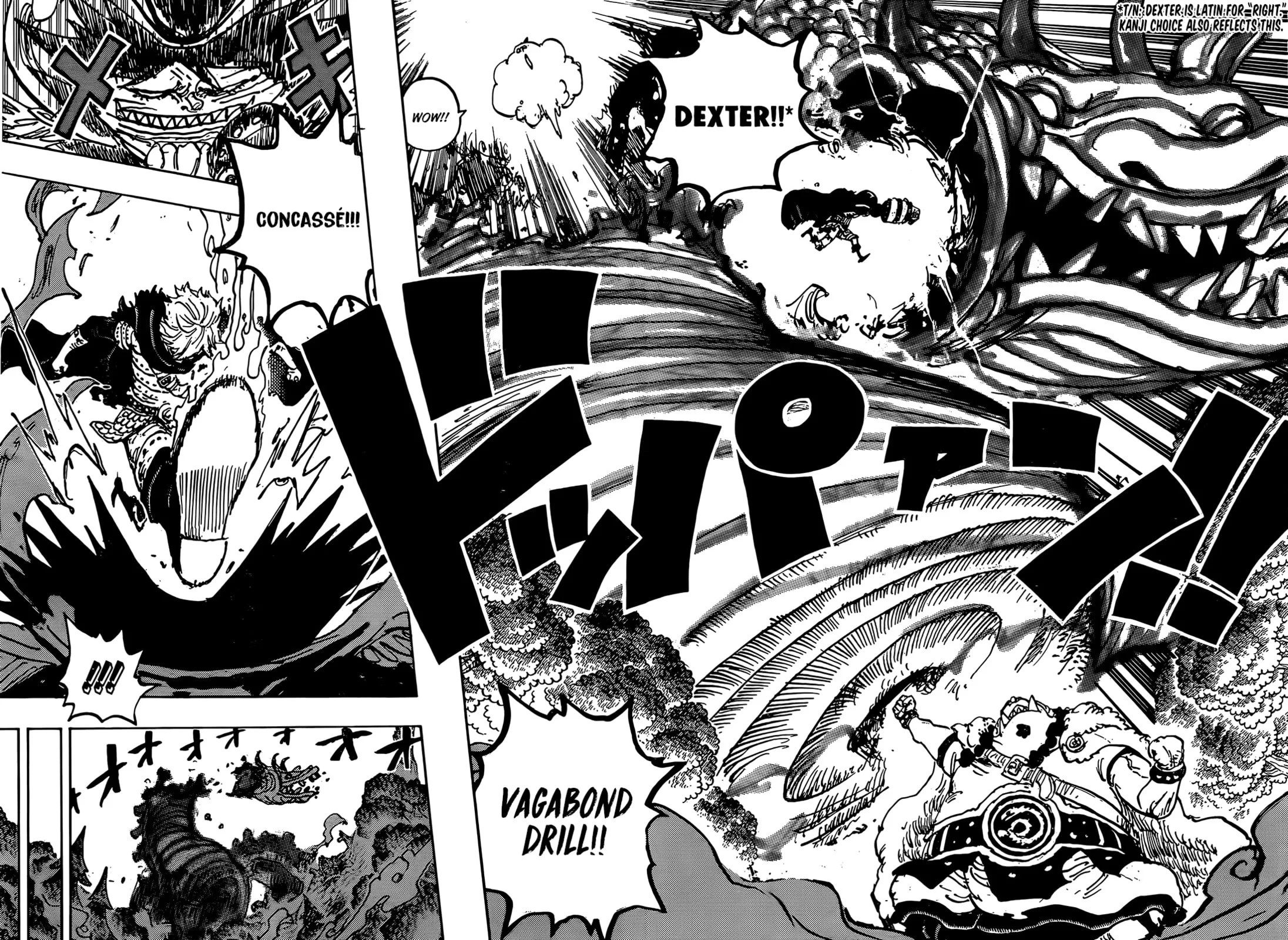 One Piece Manga, chapter 1176, page 12