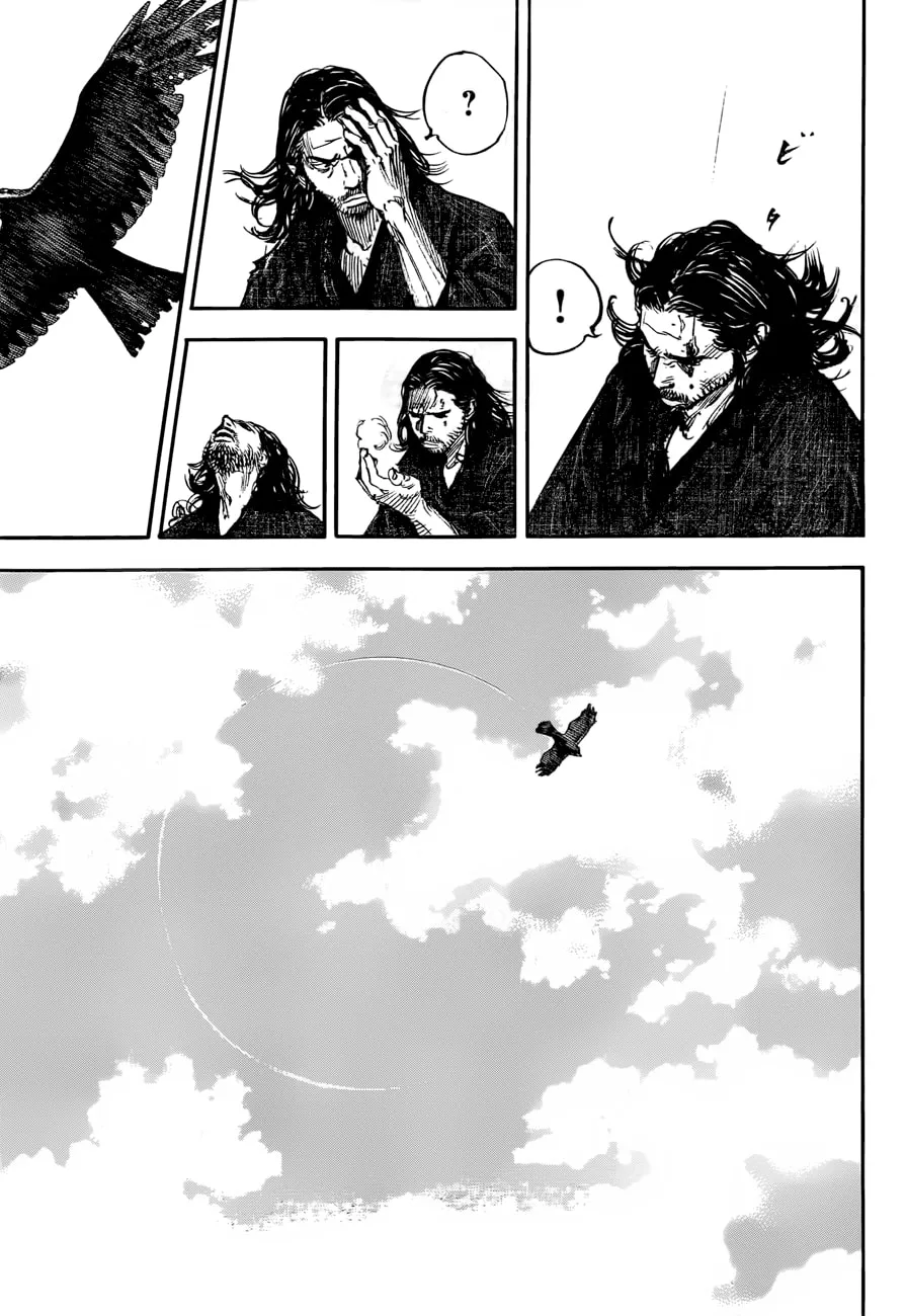 Vagabond Manga, chapter 301, page 8