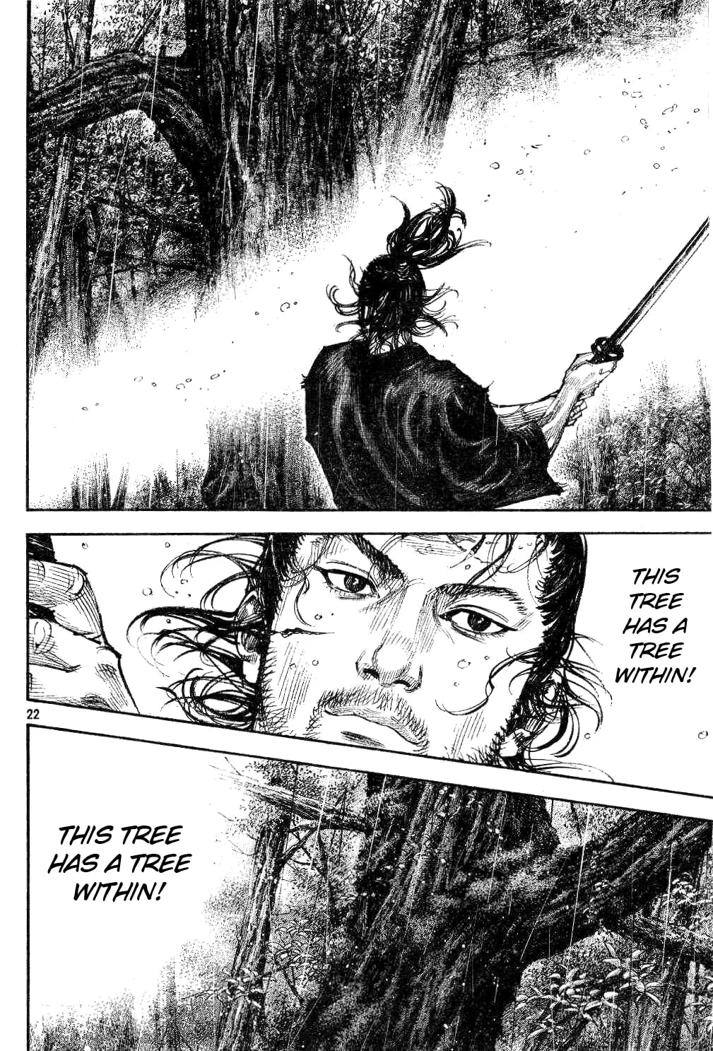 Vagabond Manga, chapter 306, page 22