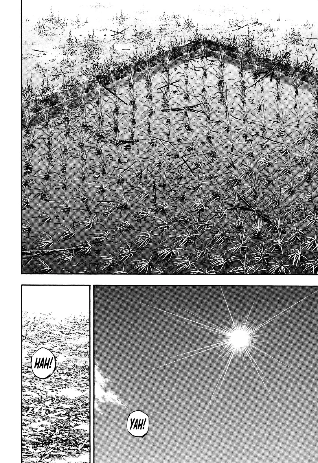 Vagabond Manga, chapter 320, page 5