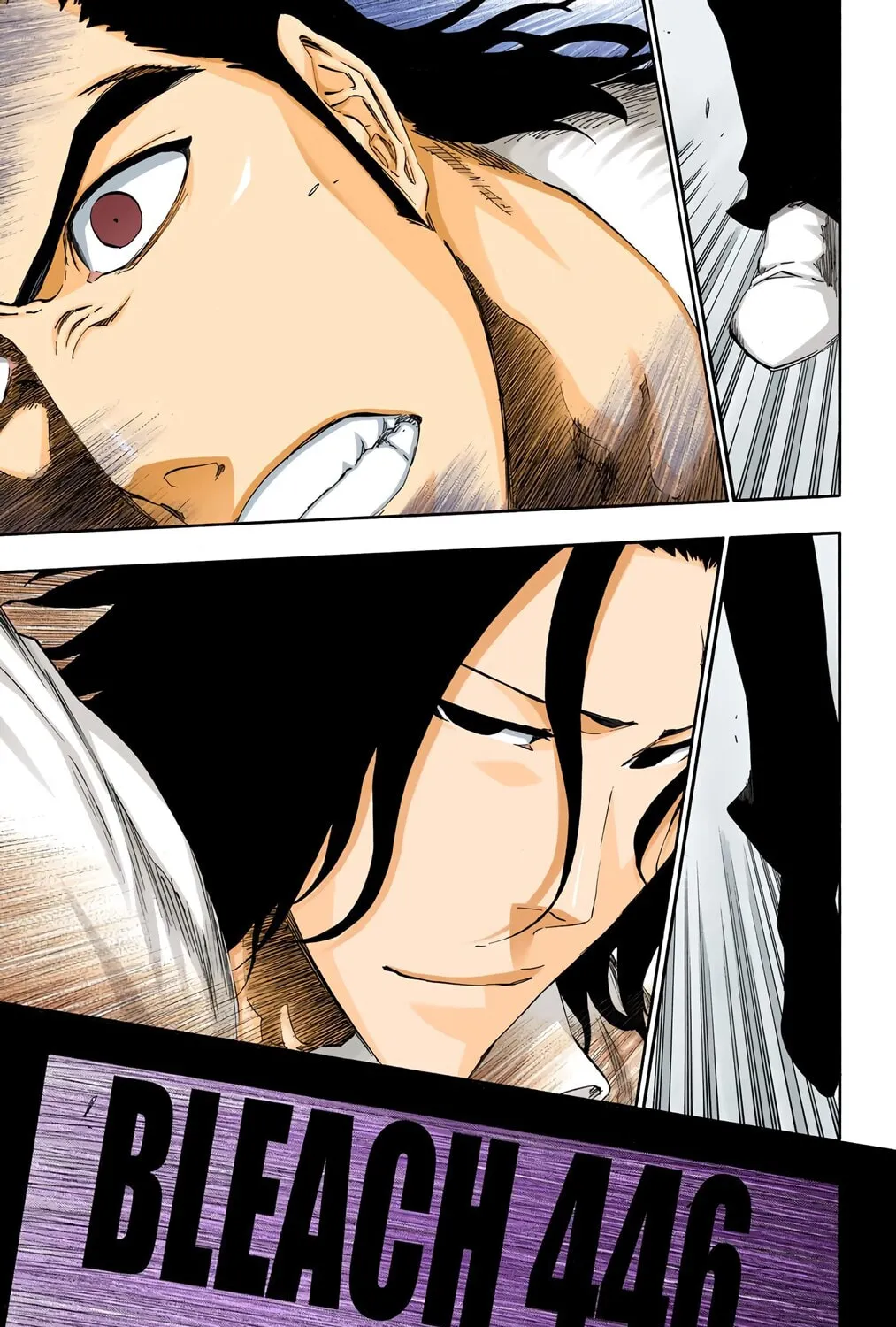 Bleach Colored Manga, chapter 446, page 13