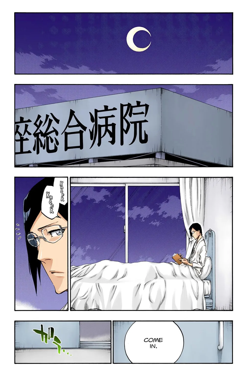 Bleach Colored Manga, chapter 447, page 13