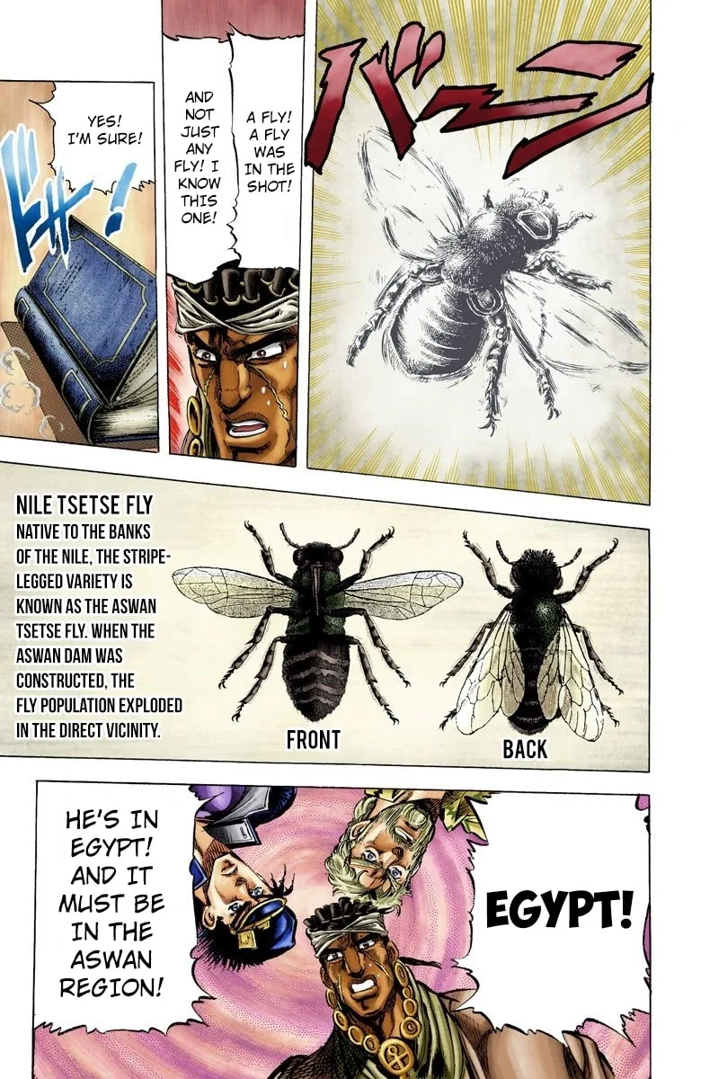 JoJo no Kimyou na Bouken Part 3: Stardust Crusaders Colored Manga, chapter 8, page 17