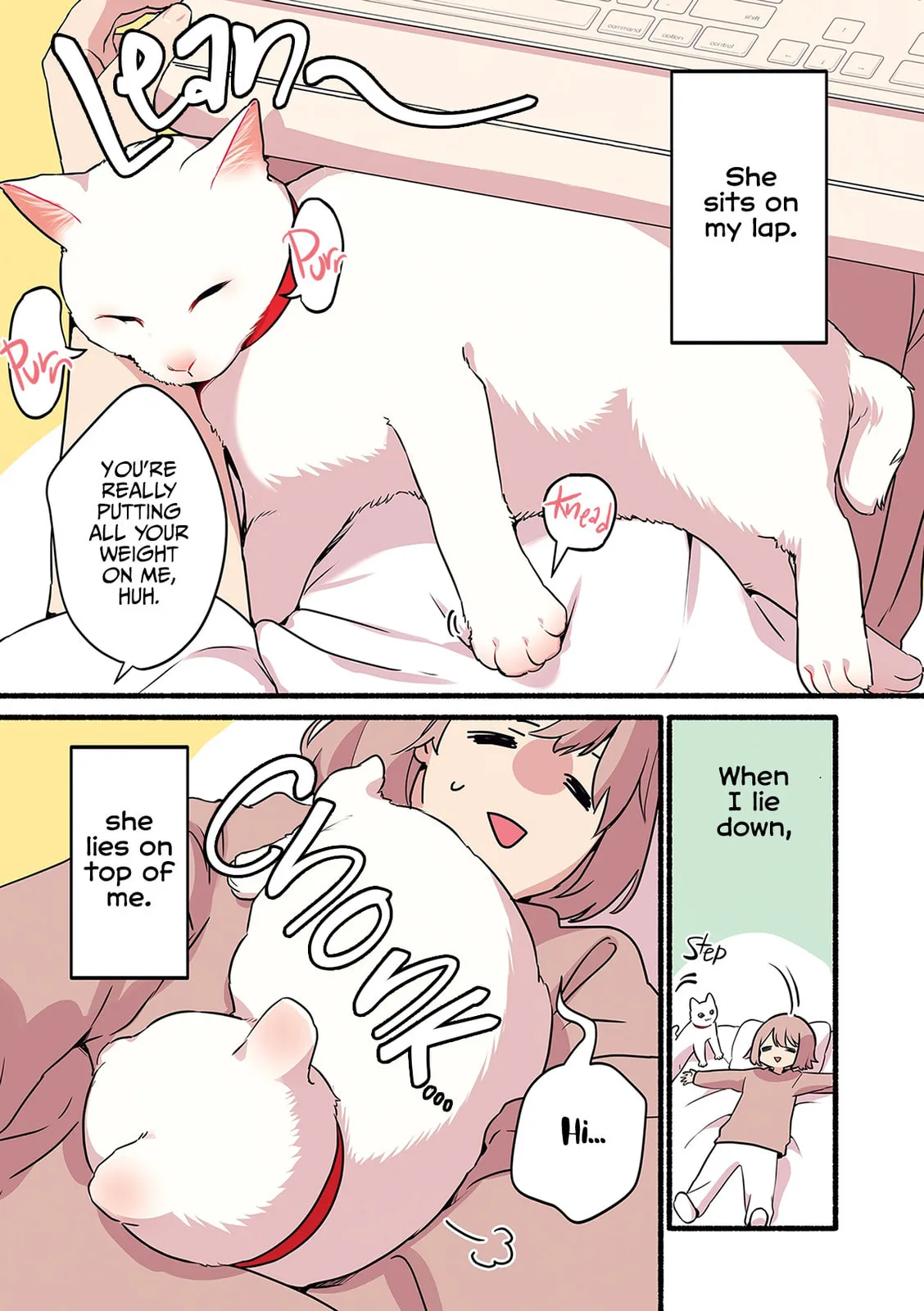 Miko, A White Cat That Wants To Be Loved, chapter 1.1, page 11