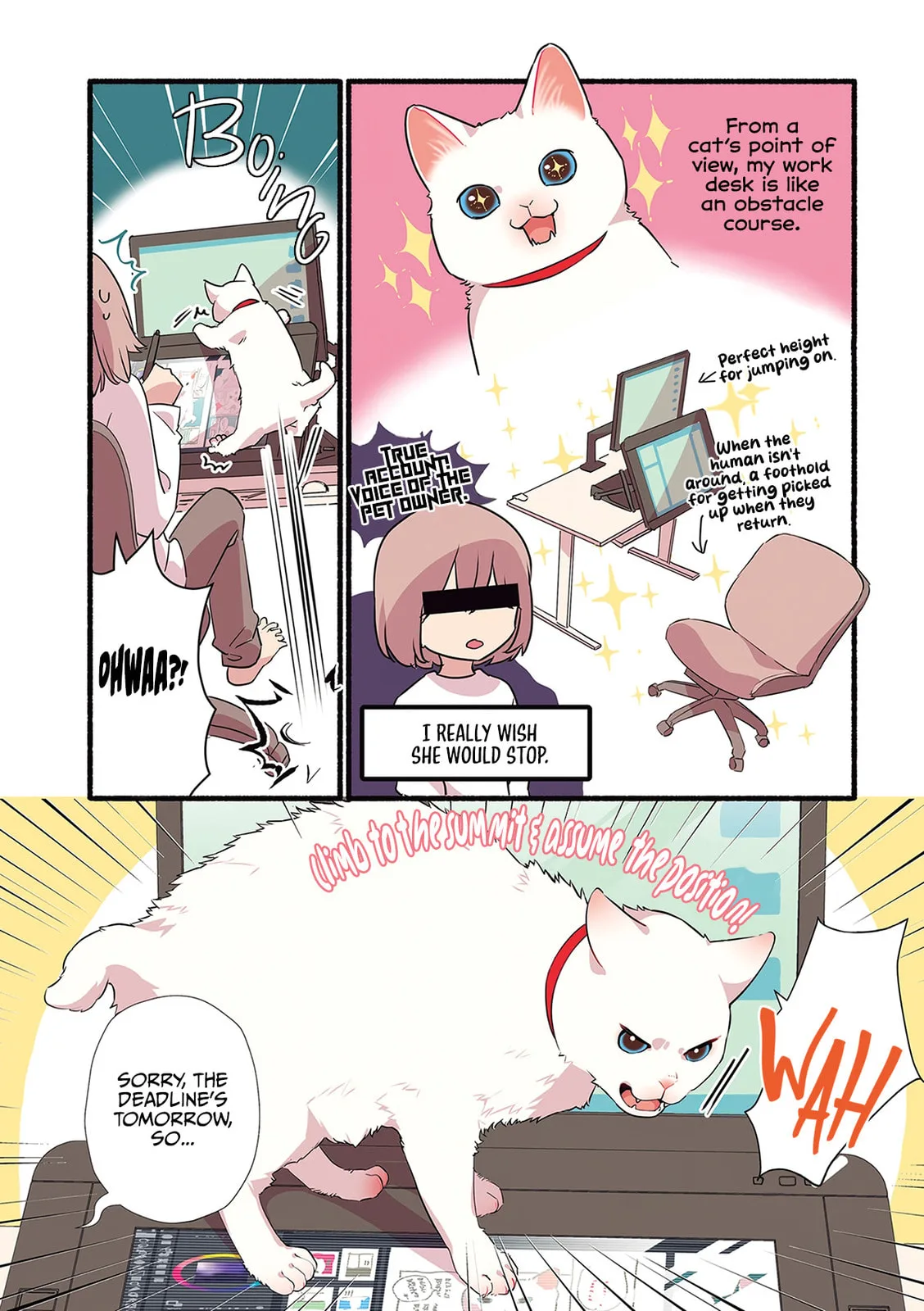 Miko, A White Cat That Wants To Be Loved, chapter 1.3, page 3