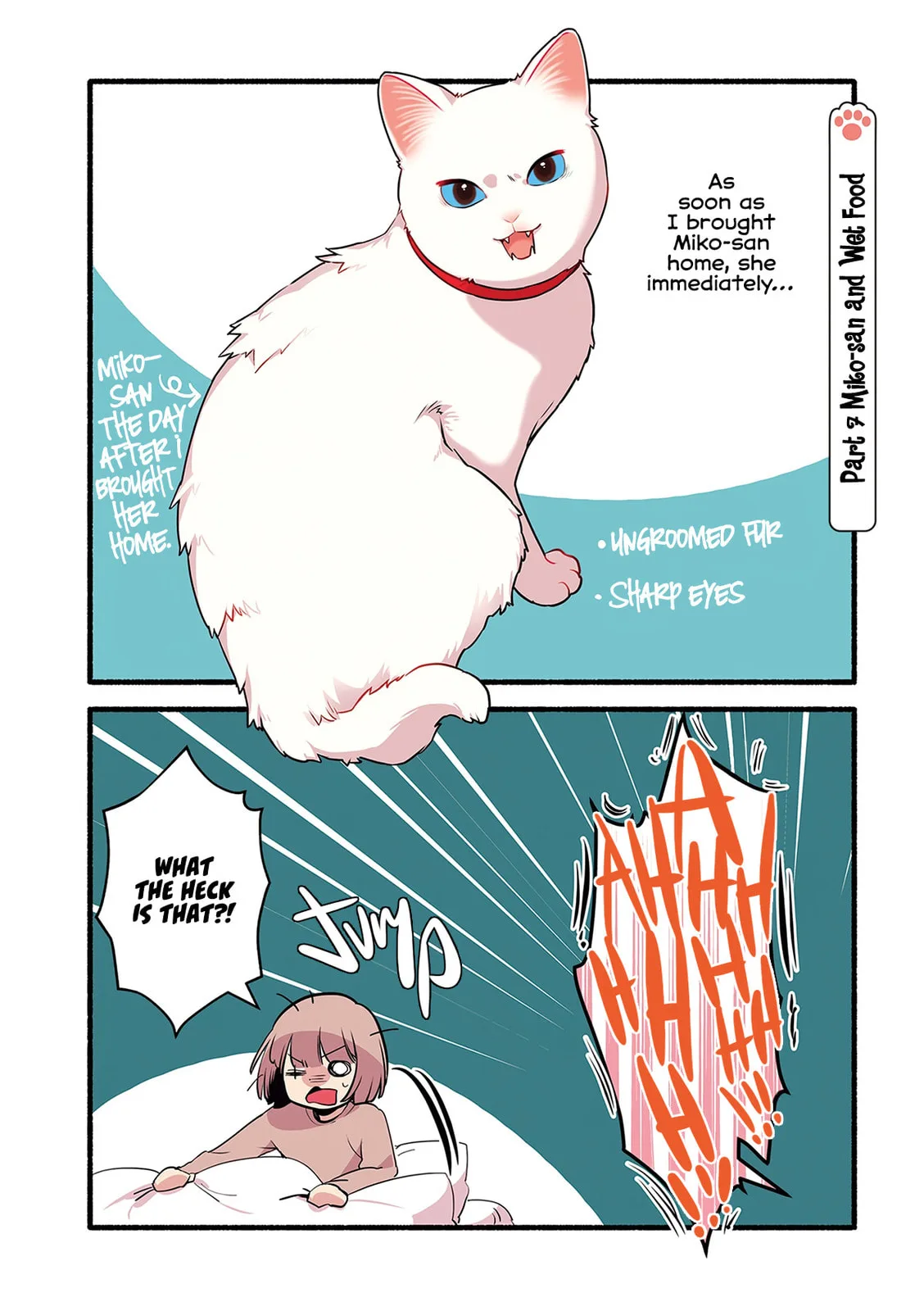 Miko, A White Cat That Wants To Be Loved, chapter 2.1, page 2
