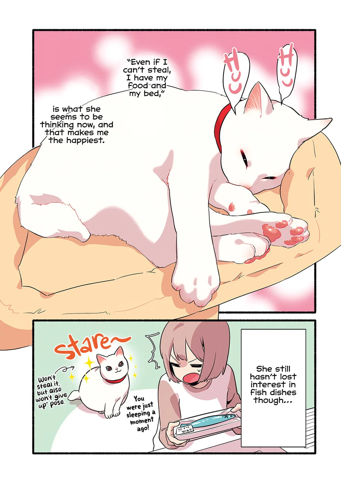 Miko, A White Cat That Wants To Be Loved, chapter 2.3, page 5