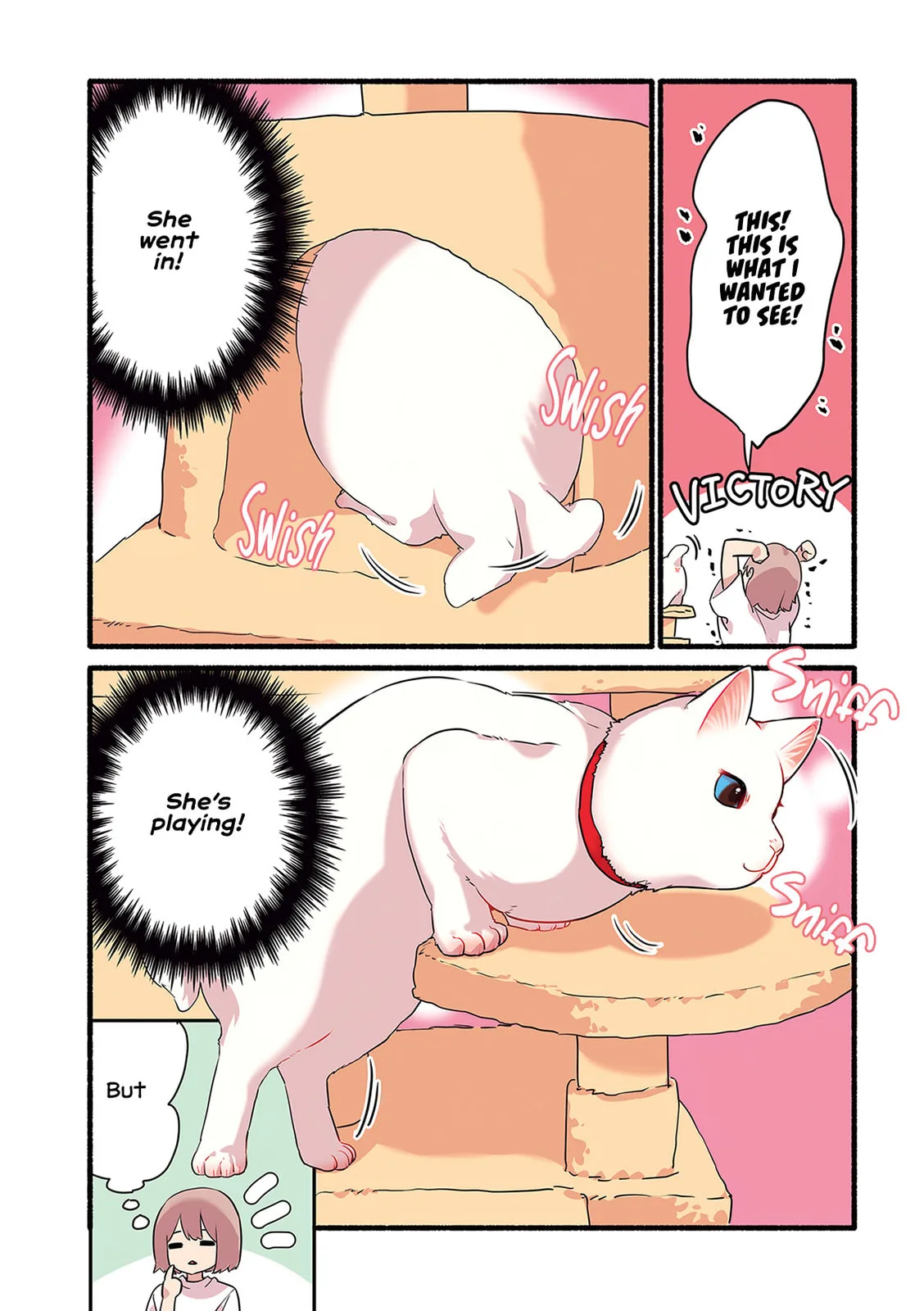 Miko, A White Cat That Wants To Be Loved, chapter 3.3, page 3