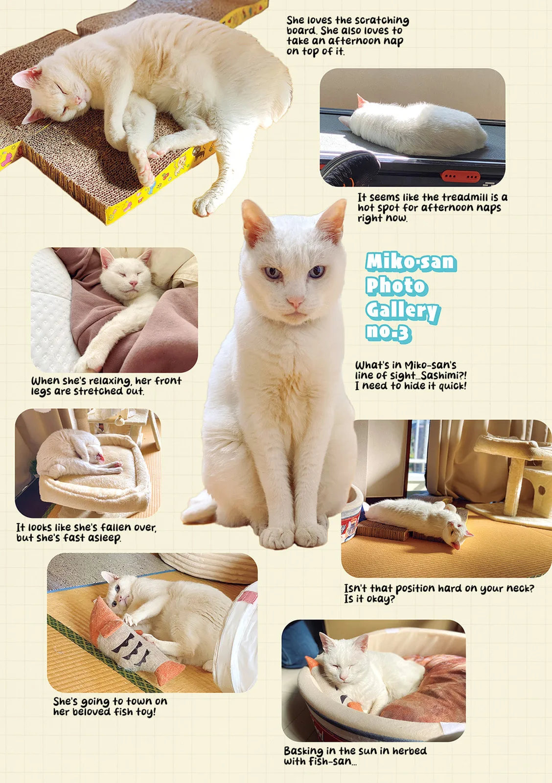 Miko, A White Cat That Wants To Be Loved, chapter 3.4, page 6