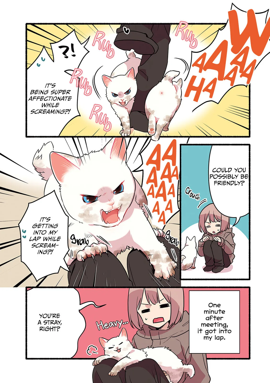 Miko, A White Cat That Wants To Be Loved, chapter 5, page 8