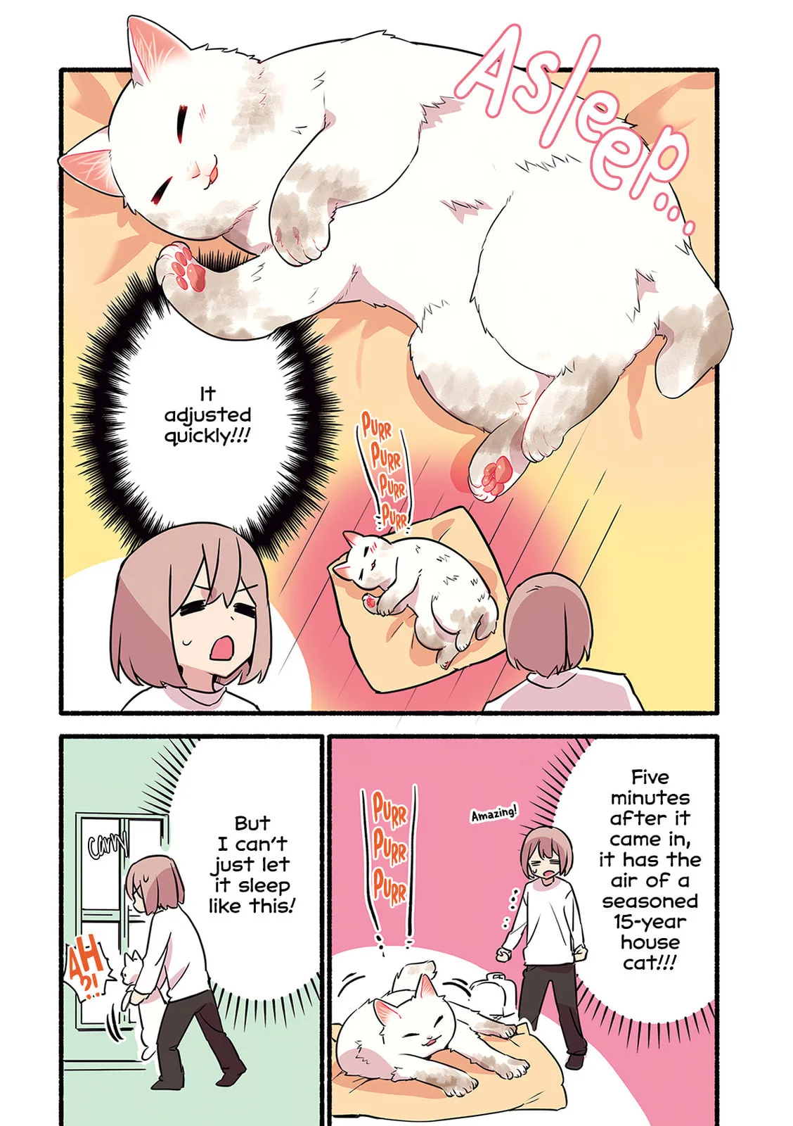 Miko, A White Cat That Wants To Be Loved, chapter 5, page 19