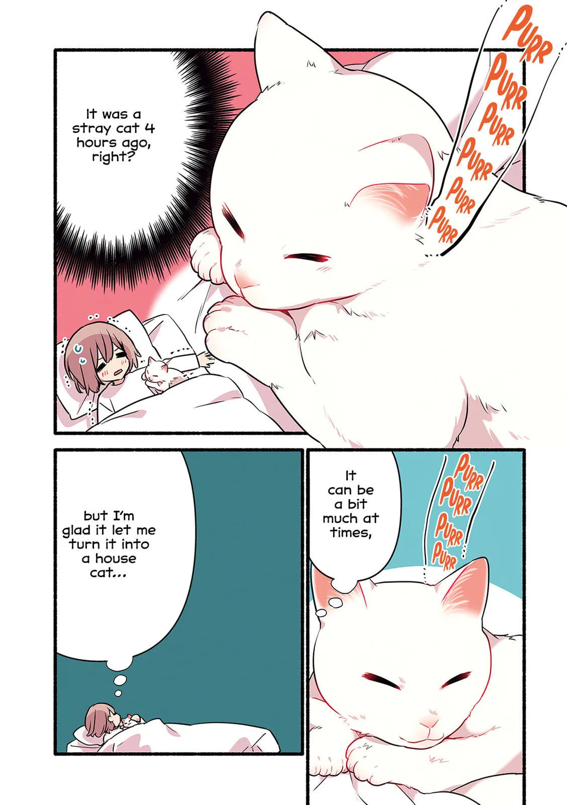 Miko, A White Cat That Wants To Be Loved, chapter 5, page 22