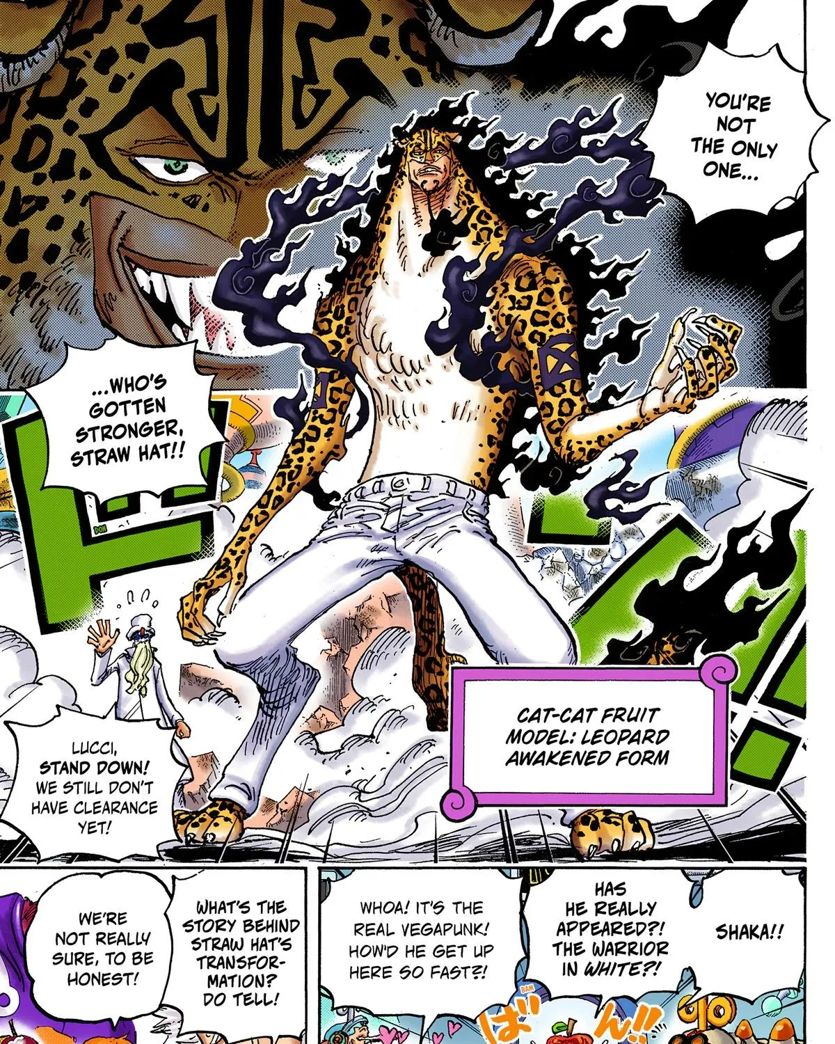 One Piece Colored, chapter 1069, page 13